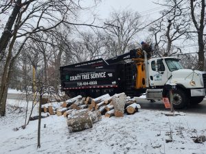 Expert arborists performing safe and efficient hazardous tree removal to prevent property damage and ensure safety.