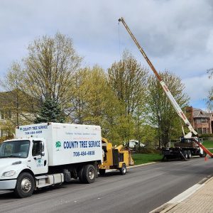 Professional tree removal and trimming services in Chicago with a best price guarantee.